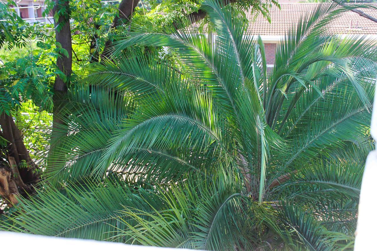 Lolo'S 1Bed Apt-Best Location-2Balconies Harare Dış mekan fotoğraf